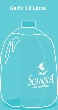 Clic para ir a Gal&oacute;n 3.8 L