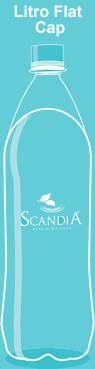 Clic para Litro Flat Cap